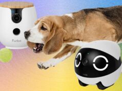 The 10 Best Pet Cameras of 2026: Furbo, Petcube, and Enabot