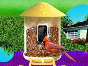 The Smart Bird Feeders Everyone’s Talking About (and Actually Buying) (2026)