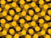 De-fi platform Drift suspends deposits and withdrawals after millions in crypto stolen in hack