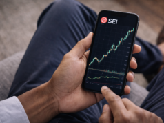 SEI price surges to $0.062: can bulls sustain upward momentum?