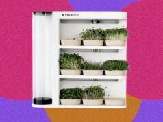 InstaFarm Automated Indoor Microgreens Garden Review: Easy Being Green