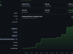 MicroStrategy Bitcoin Holdings Hit $66Bn: What Next for Saylor?