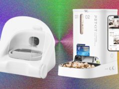 These 11 Automatic Cat Feeders Were the Best We Tested in 2026