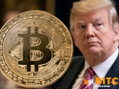 The Trump Family Trust Bought Bitcoin-Linked Stocks In First Quarter: Filing