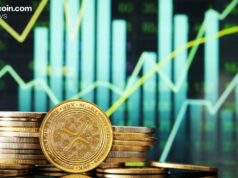 Canary XRP ETF Reports 213 Million XRP Holdings Worth $305 Million