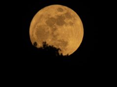 Blue Moon May 2026: Why the May full moon is so rare.