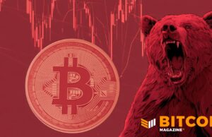Bitcoin Price Crashes To $67,000 Range, Down 13% In A Week