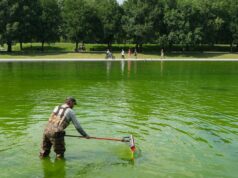 Even the Internet’s Favorite Pool Guy Doesn’t Know How to Fix the Reflecting Pool