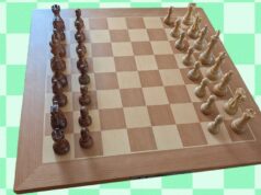 Best Smart Chess Boards (2026): Chessnut, Millennium