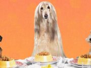 We Make Lovely Home-Cooked Meals for Ourselves. Why Not Do the Same for Our Dogs?