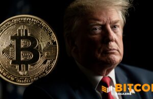 ‘Big Fan Of Crypto,’ Eyes Bitcoin For Trump Accounts