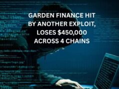 Garden Finance hit by another exploit, loses $450,000 across 4 chains