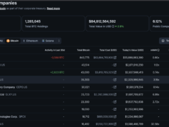 Satsuma’s Bitcoin Treasury Collapses, Leaving Shareholders 18p on the Pound