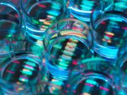 OpenAI researcher Miles Wang in talks to launch AI drug discovery startup valued at $2B