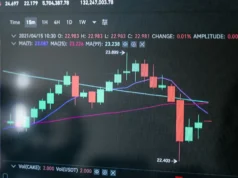 Trump Crypto Profits Hit $1B as Bitcoin Crashes 50% From Its ATH