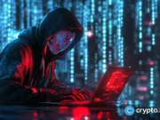 Hong Kong Clearing exposes fake crypto wallet scam using cash rewards