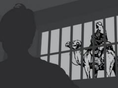 What are the odds Donald Trump frees Ross Ulbricht?