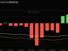 BlackRock’s Fink Calls Leverage ‘Wiped Out’ as Bitcoin ETFs Log $107.7M Clean Sweep