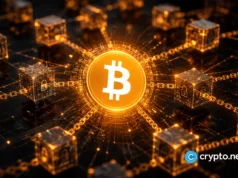 Bitcoin BIP-110 fork could expose holders to replay attacks