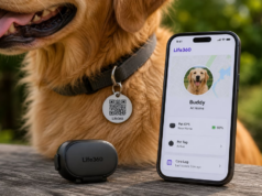 Life360’s $8 Pet Tag vs Pet GPS: What Each One Does