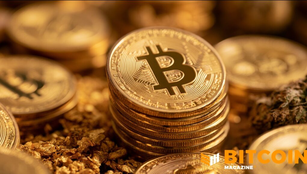 Edelman-Financial-Tudor-Investment-Reveal-Significant-Bitcoin-Holdings.jpg