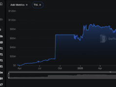 XRP Ripple Ledger Gets Busier Without Attracting New Users