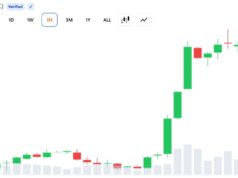 Bitcoin Bull Cycle Peak Could Be Driven by Global ETF Demand