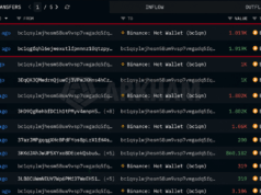 Mystery Whale Dumps $486 Million in Bitcoin Over Three Weeks