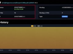 Maya Protocol Loses $1.7M, 20 BTC Traced to Wallet
