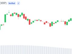 XRP Active Addresses Hit 2-Month High as Sentiment Turns Bearish