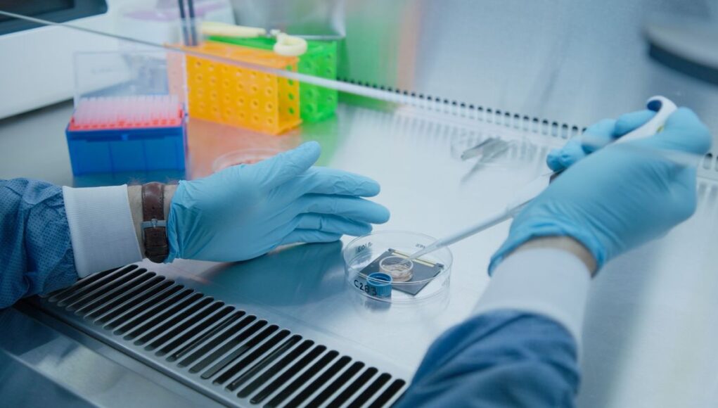 AI-Models-Built-From-Rat-Brains-Business-MEA-neuron-chip-3.jpg