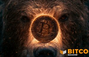 Bitcoin Bear Market May Not Yet Be Over, Says Fidelity