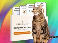 What’s the Best Pet DNA Test? We Tested the Most Popular Ones