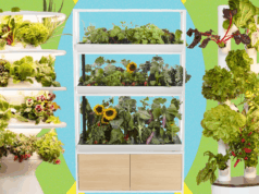 Best Indoor Garden Systems I’ve Been Testing All Year (2026)