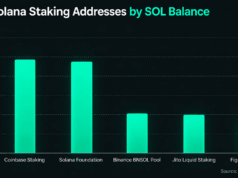 Inside Solana’s Staking Giants and the Mystery Whales With Billions