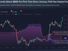 Smaller Bitcoin Holders Sold Before $85K Rally as 69,494 Wallets Exit