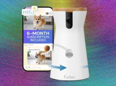 Best Pet Camera of 2026: Furbo, Petcube, and Enabot