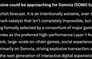 Elon Musk’s Grok AI Predicts SOMI Crypto Could Explode by 2027