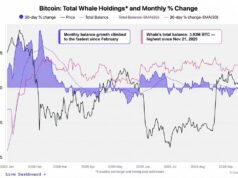 Cryptoquant Says Bitcoin Whales Are Back as a Mystery Buyer Grabs $97M