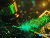 Lighter price jumps 21% as Robinhood Wallet partnership draws attention