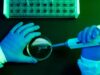 What to Know About Shamonda Virus Following the First Reported Human Infection